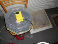 /album/fotogaleria/sam-3560-jpg/