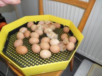 /album/fotogaleria/sam-3563-jpg/