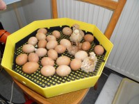 /album/fotogaleria/sam-3564-jpg/